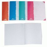 LIBRETA 4º N 33 CUADR 6MM 16H