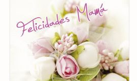 MINI CARD FELICIDADES MAMA