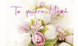 MINI CARD TE QUIERO MAMA