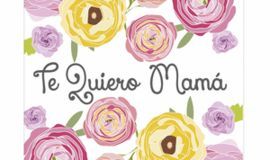MINI CARD ROSAS TE QUIERO MAMA