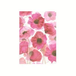 NOTEBOOK RAYAS TURNOWSKY AMAPOLAS