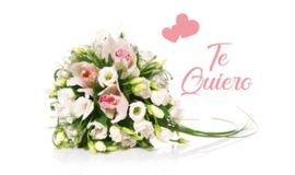 MINI CARD RAMO TE QUIERO