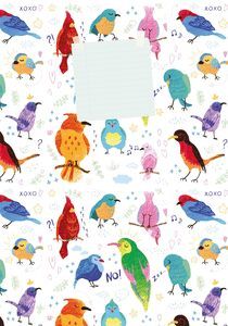 CUADERNO A6 PAJAROS 64 HOJAS LISAS
