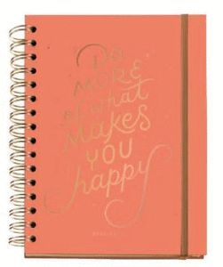 AGENDA ESCOLAR CARTON DO MORE 15X21,3CM SV CAT/ING