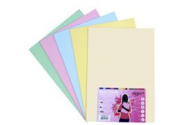 PAPEL A3 80G 100H COLORES PASTEL SURTIDOS