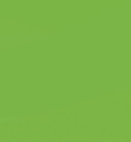 LAMINA GOMA EVA 20X30 VERDE CLARO