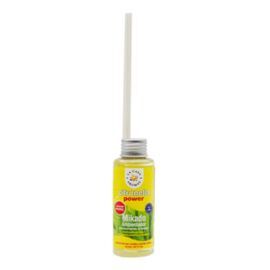 EXPOSITOR 6 RECAMBIO MIKADO CITRONELA 100ML