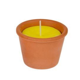 EXPOSITOR 12 MACETA 45G CITRONELA
