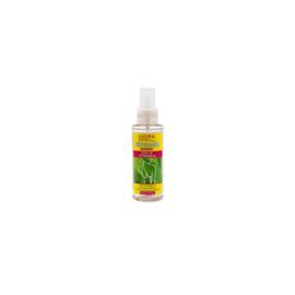 EXPOSITOR 12 AGUA FRESCA CITRONELA 100ML
