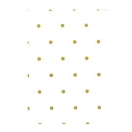 PAPEL REGALO BOBINA 0,8X50M 35 MICRAS PP TRANSPARE