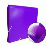 CARPETA CLASIFICADORA FUELLE LILA