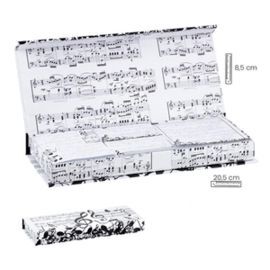 SET NOTAS ADHESIVAS NOTAS MUSICA