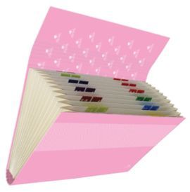 CARPETA FUELLE CON SOLAPA CON CIERRE COLORES PASTE