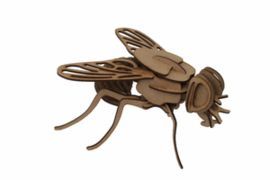 MAQUETA MOSCA MAXI CAJA REGALO PS D2