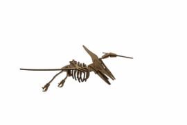 MAQUETA PTERANODON MAXI CAJA REG. PS D2