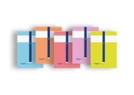 LIBRETA A4 ERIGGAN CUADRO 4MM 50H CARTONCILLO SURT