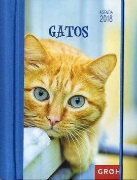 AGENDA 2018 GATOS