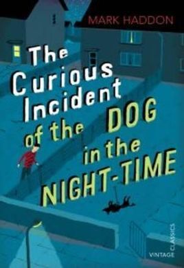 THE CURIOUS INCIDENT OF THE DOG IN THE NIGHT-TIME