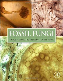 FOSSIL FUNGI