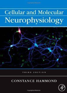 CELLULAR AND MOLECULAR NEUROPHYSIOLOGY