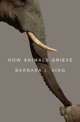 HOW ANIMALS GRIEVE