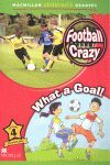 WHAT A GOAL.FOOTBALL CRAZY NIVEL 4