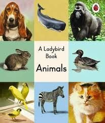 A LADYBIRD BOOK: ANIMALS