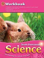 SCIENCE - WORKBOOK GRADE K