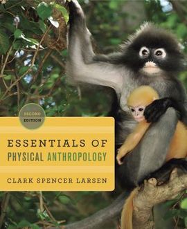 ESSENTIALS OF PHYSICAL ANTHROPOLOGY: DISCOVERING OUR ORIGINS