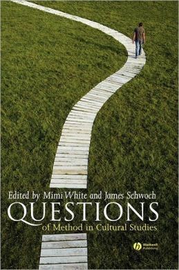 QUESTIONS OF METHOD IN CULTURAL STUDIES