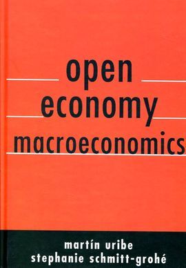 OPEN ECONOMY MACROECONOMICS