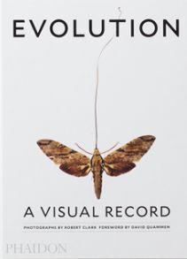 EVOLUTION: A VISUAL RECORD
