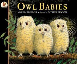 OWL BABIES