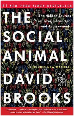 THE SOCIAL ANIMAL: THE HIDDEN SOURCES OF LOVE, CHARACTER, AND ACHIEVEMENT