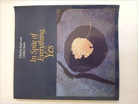 IN SPITE OF EVERYTHING YES (SPRING INDUSTRIES SERIES ON THE ARTE OR PHOTOGRAPHY)