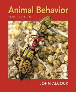 ANIMAL BEHAVIOR: AN EVOLUTIONARY APPROACH
