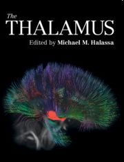 THE THALAMUS