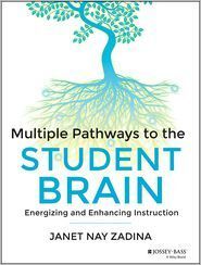 MULTIPLE PATHWAYS TO THE STUDENT BRAIN: ENERGIZING AND ENHANCING INSTRUCTION