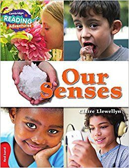 OUR SENSES RED BAND