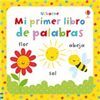 MI PRIMER LIBRO DE PALABRAS