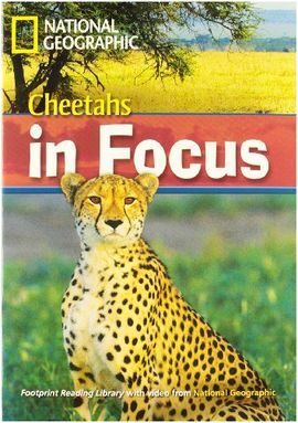 CHEETAHS IN FOCUS + DVD (UPPER INTERMEDIATE B2)