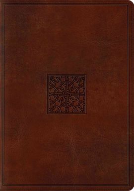 ESV STUDY BIBLE