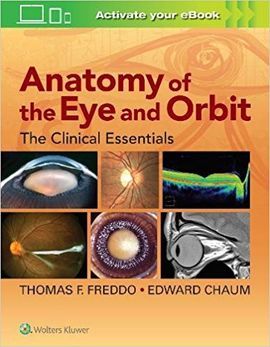 ANATOMY OF THE EYE AND ORBIT: THE CLINICAL ESSENTIALS
