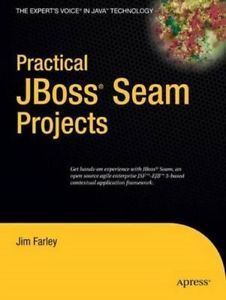 PRACTICAL JBOSS SEAM   PROJECTS