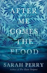 AFTER ME COMES THE FLOOD