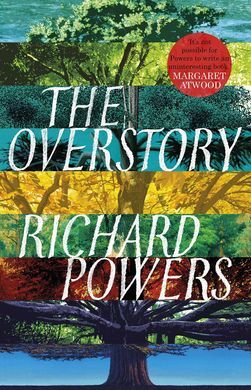 THE OVERSTORY