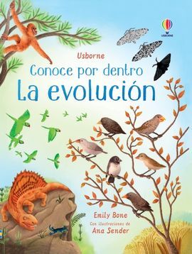 CONOCE POR DENTRO : LA EVOLUCIÓN