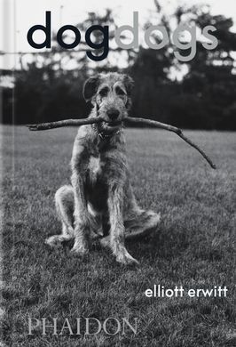 DOGDOGS