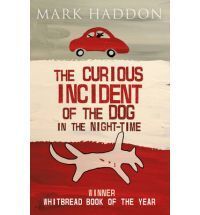 THE CURIOUS INCIDENT OF THE DOG IN THE NIGHT-TIME