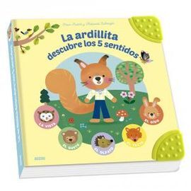 PEQUEÑA ARDILLA DESCUBRE 5 SENTIDOS